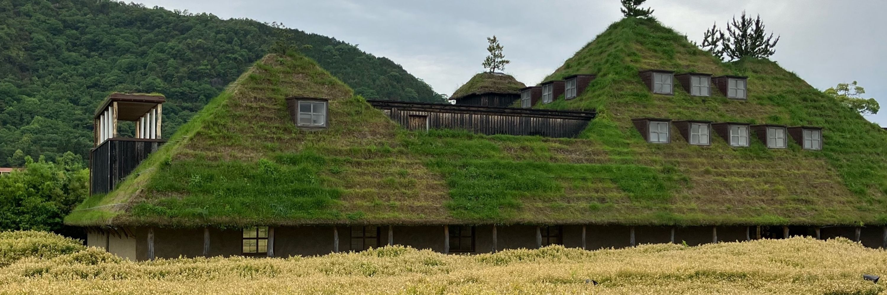 大和ナデシコ～五十路店～らむ