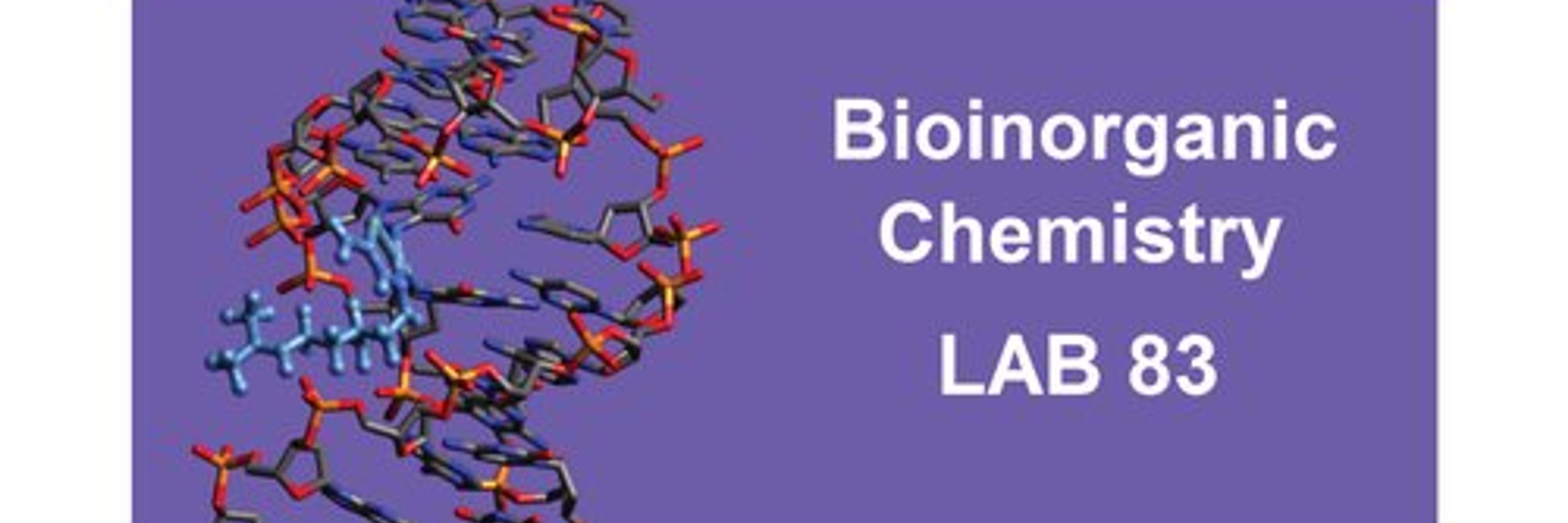 BioInorganic Chemistry Lab83