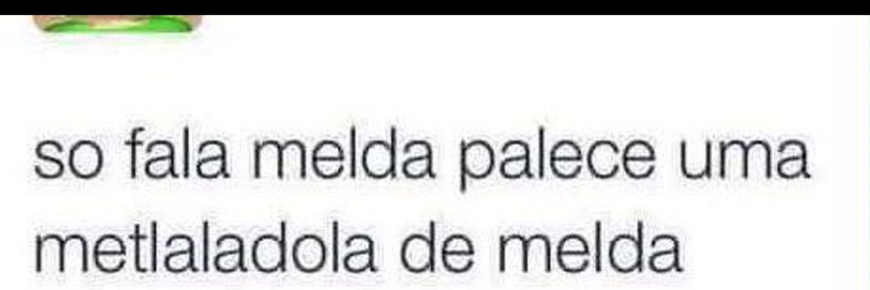 Shitzu do Barradão