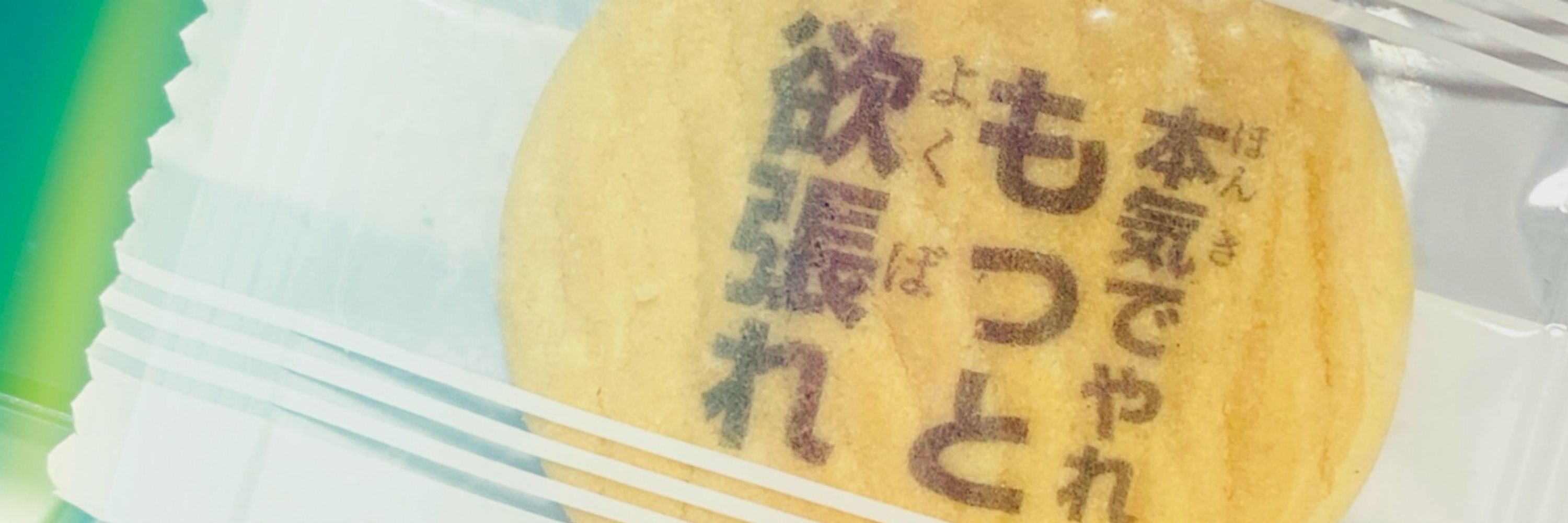 松乃