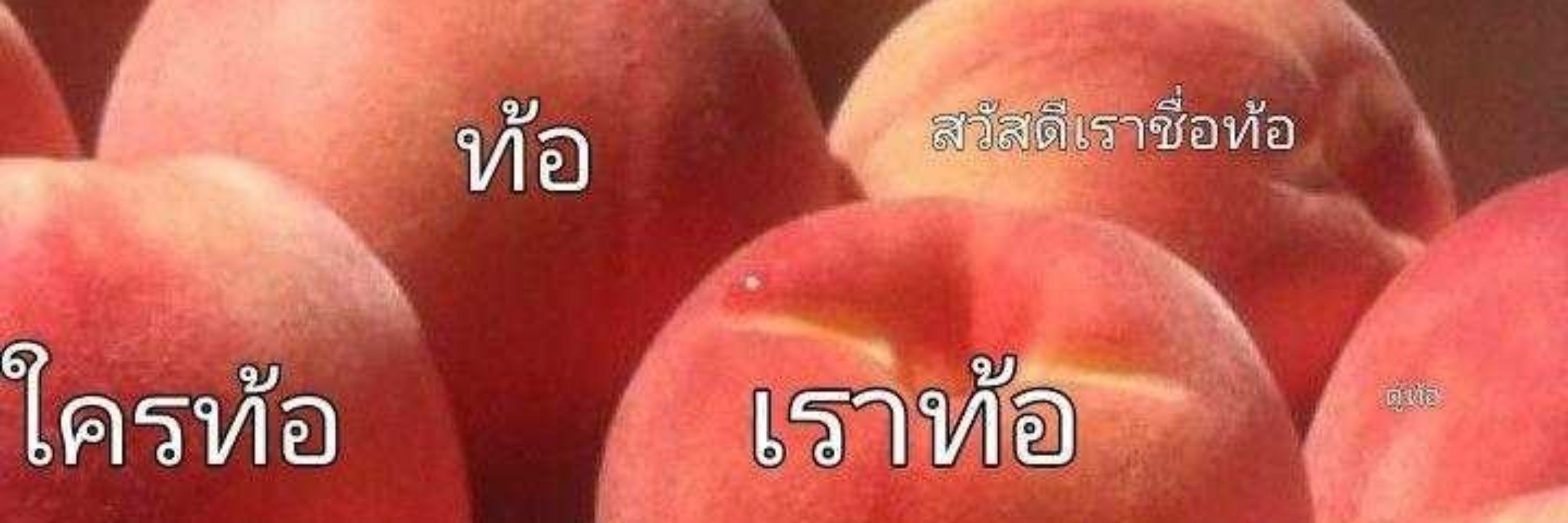 nadear(⁠｡⁠•̀⁠ᴗ⁠-⁠)⁠✧