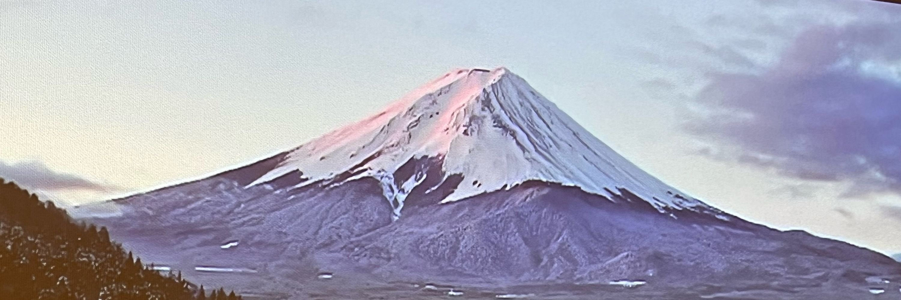 成瀬しなちく（未襲名）