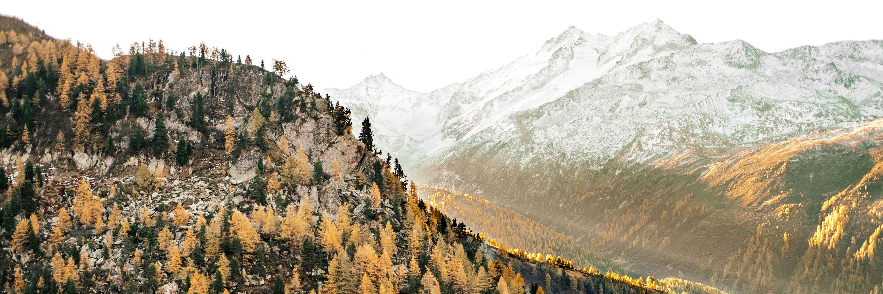 Verein Klimaschutz Schweiz