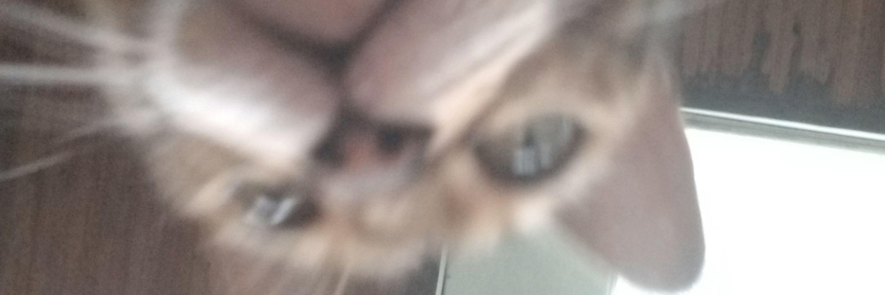 Agatha