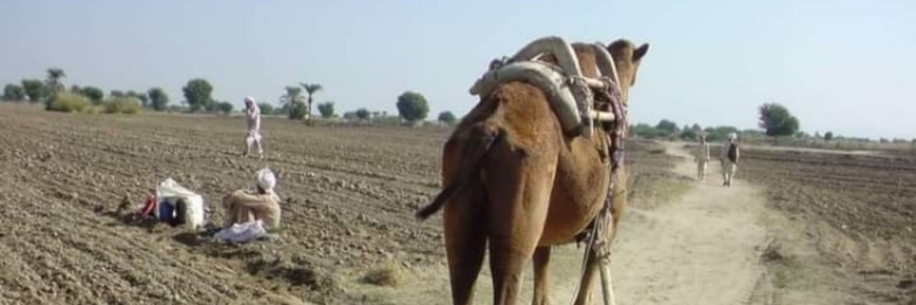Aftab Ali Marwat