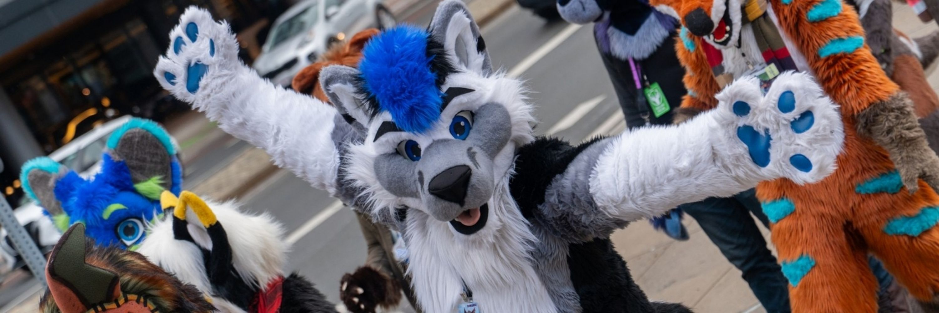 Winter Wolf ❄️🐺 ❄️ ➡️ ANE 25