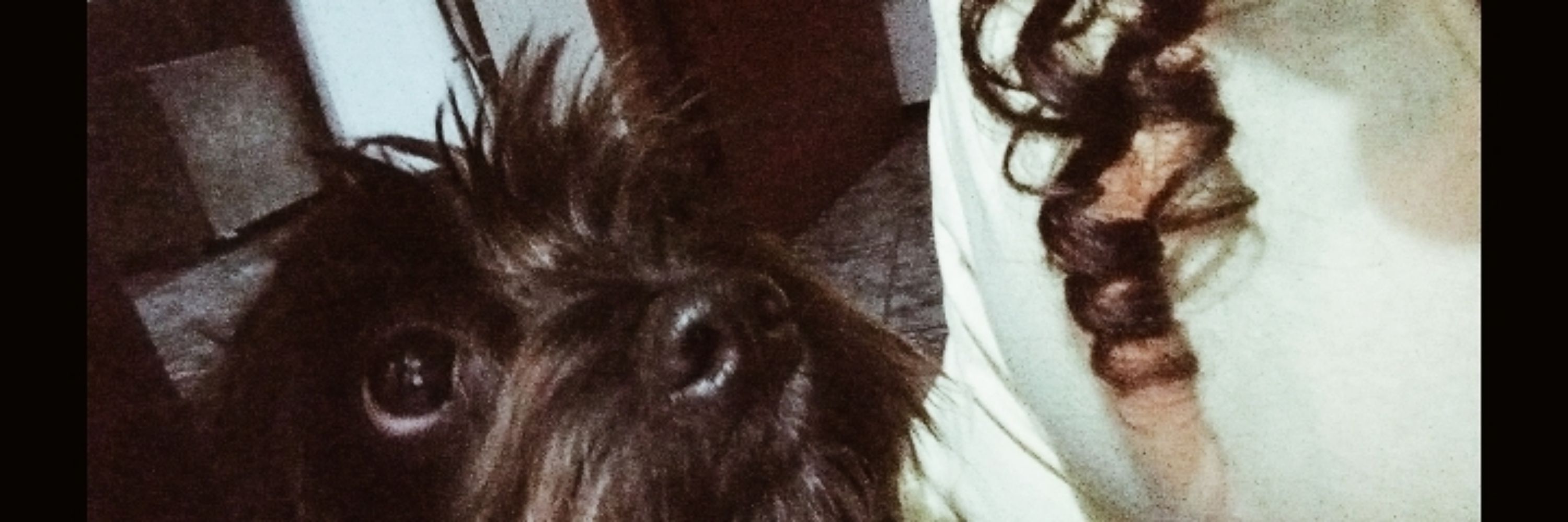 naju 