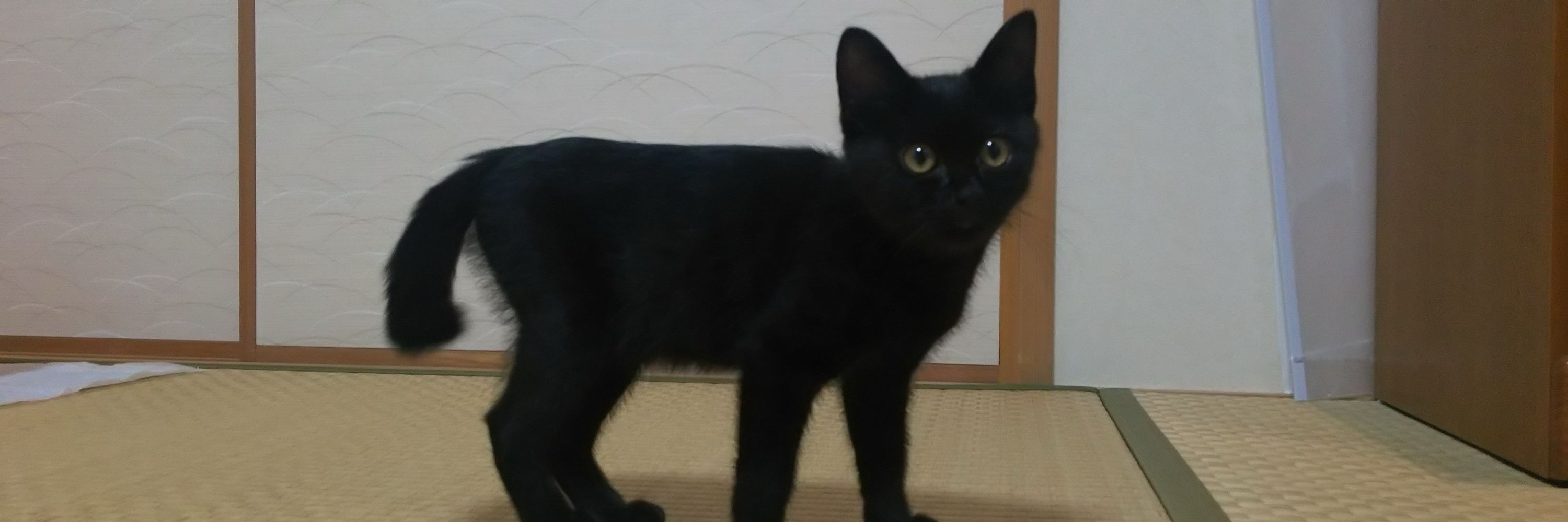 taka