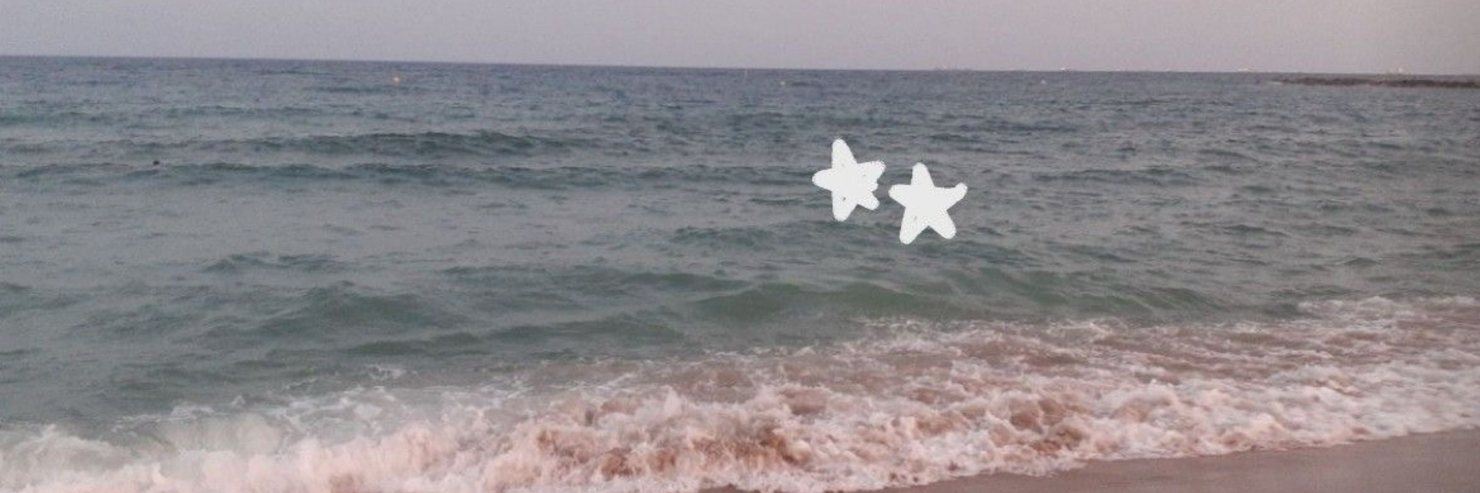 Le ♡₊˚ 🦢・₊✧