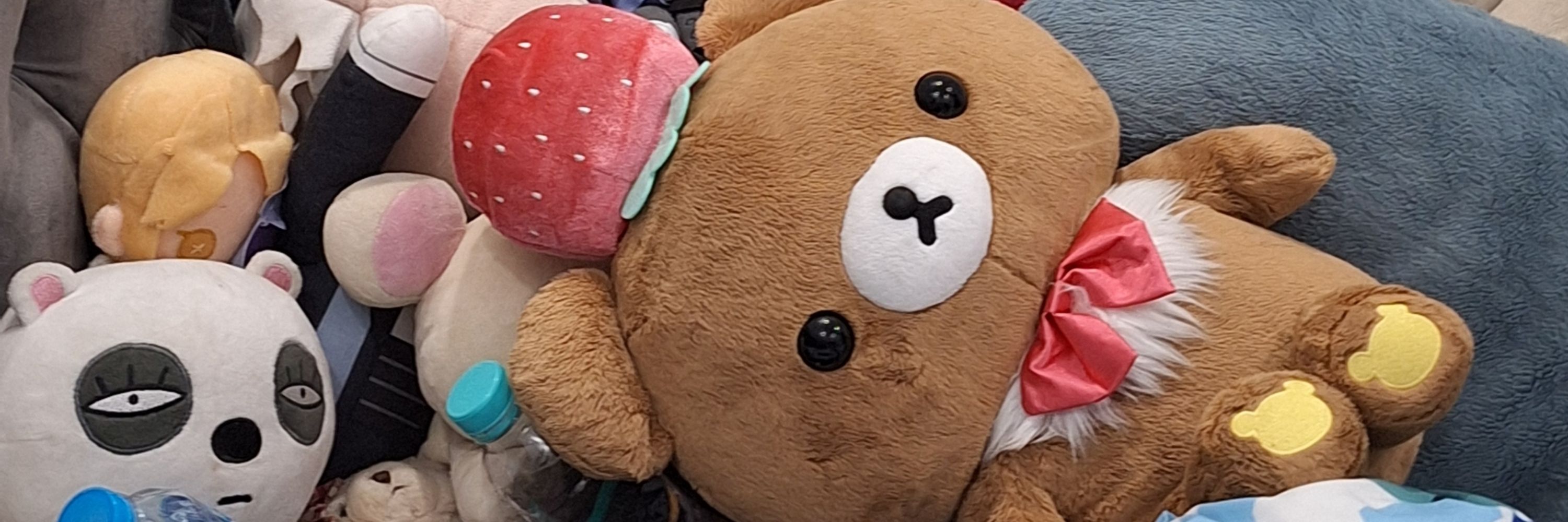 Bearuuu