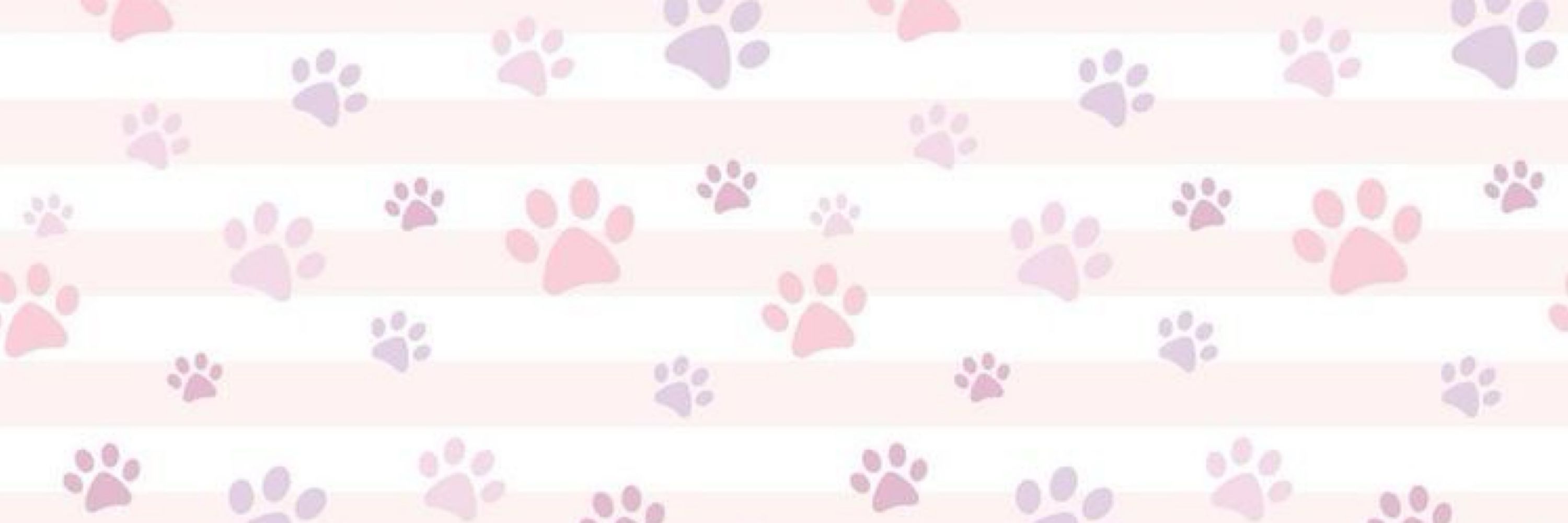 ! shilohhh🐾🖍️