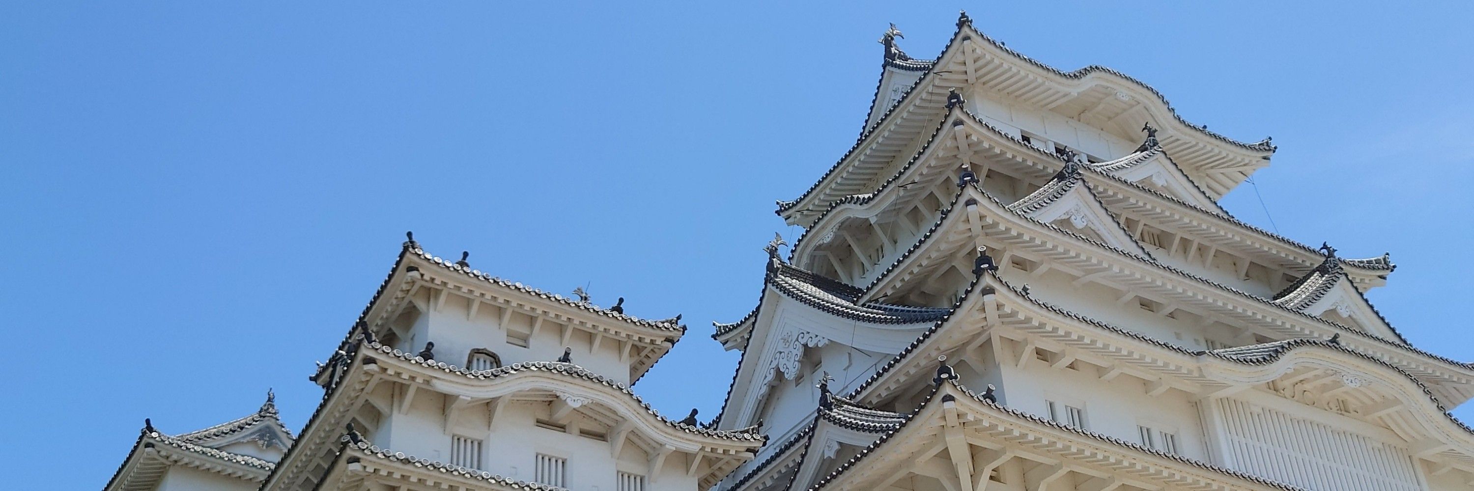 さかな