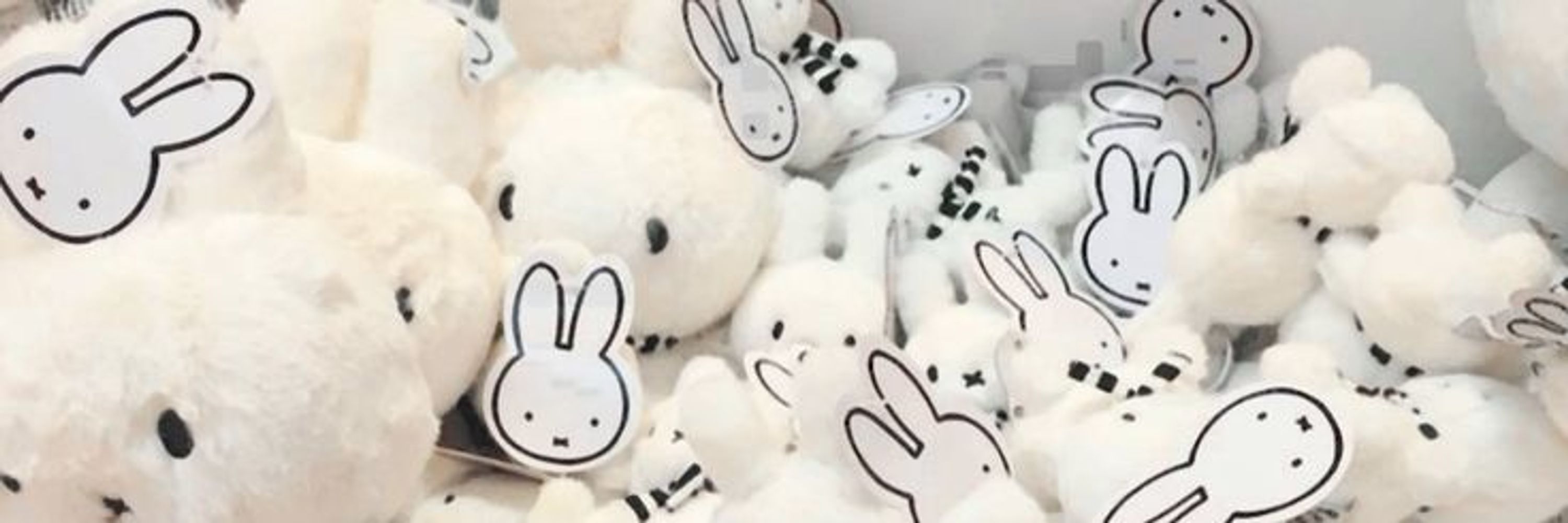starry🐇💫🩵is seeing djo