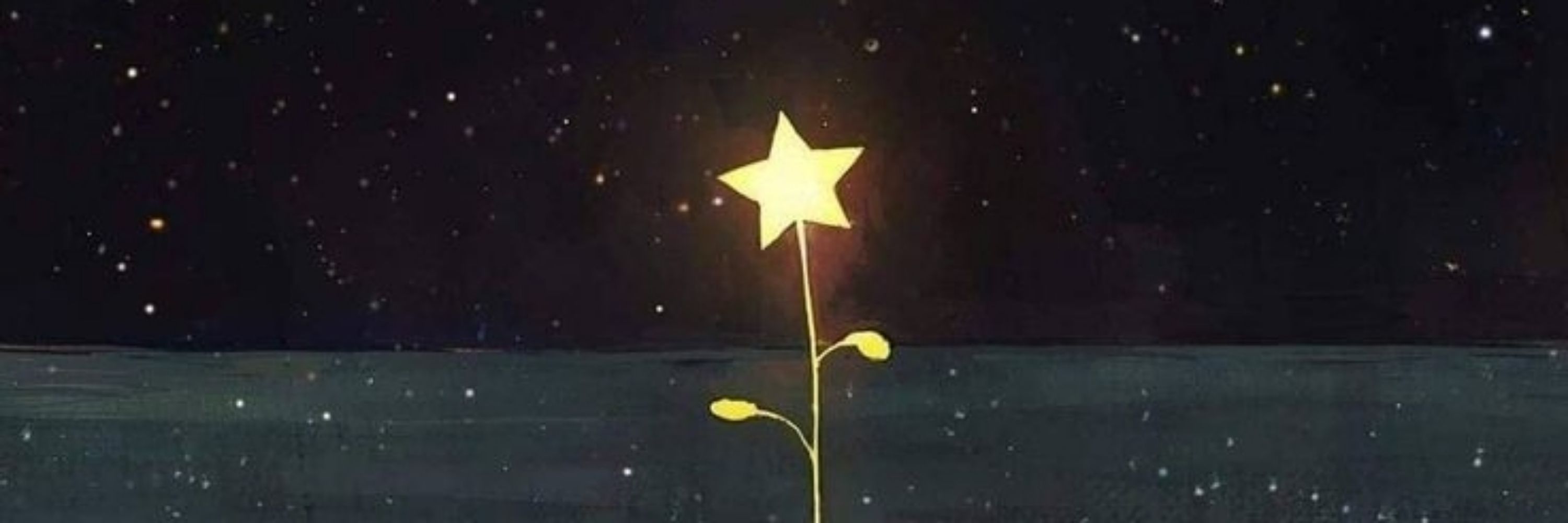 chickadee 🌟