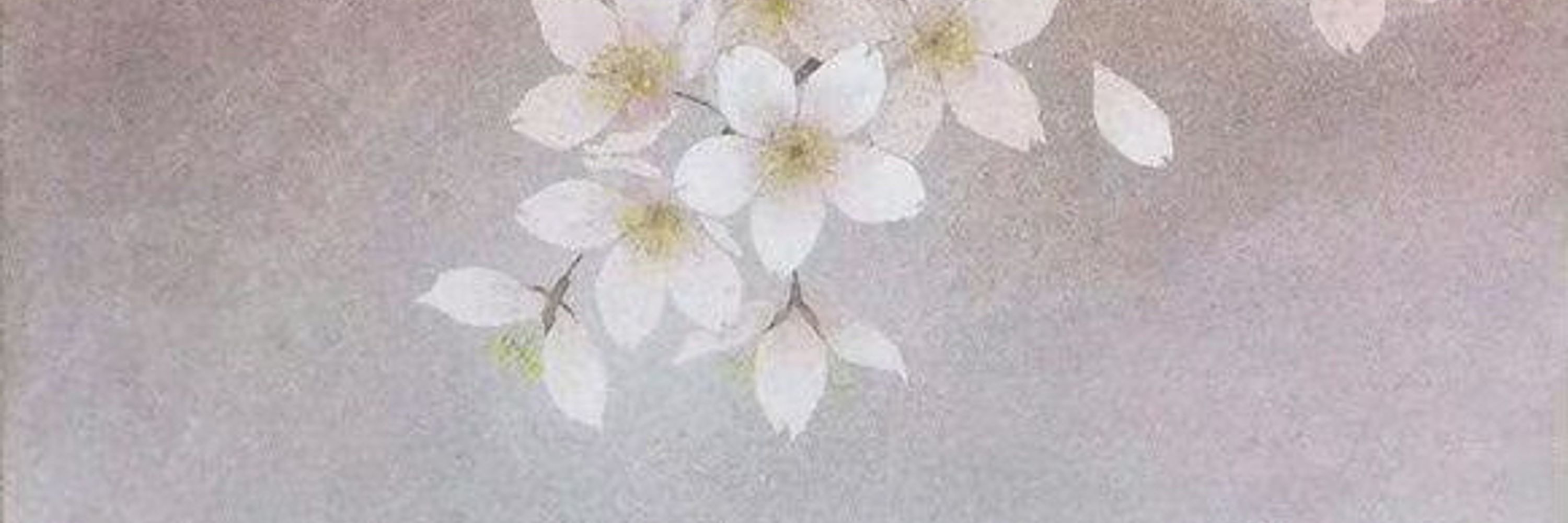 𝘊𝘰𝘳𝘳𝘪𝘯𝘦✨