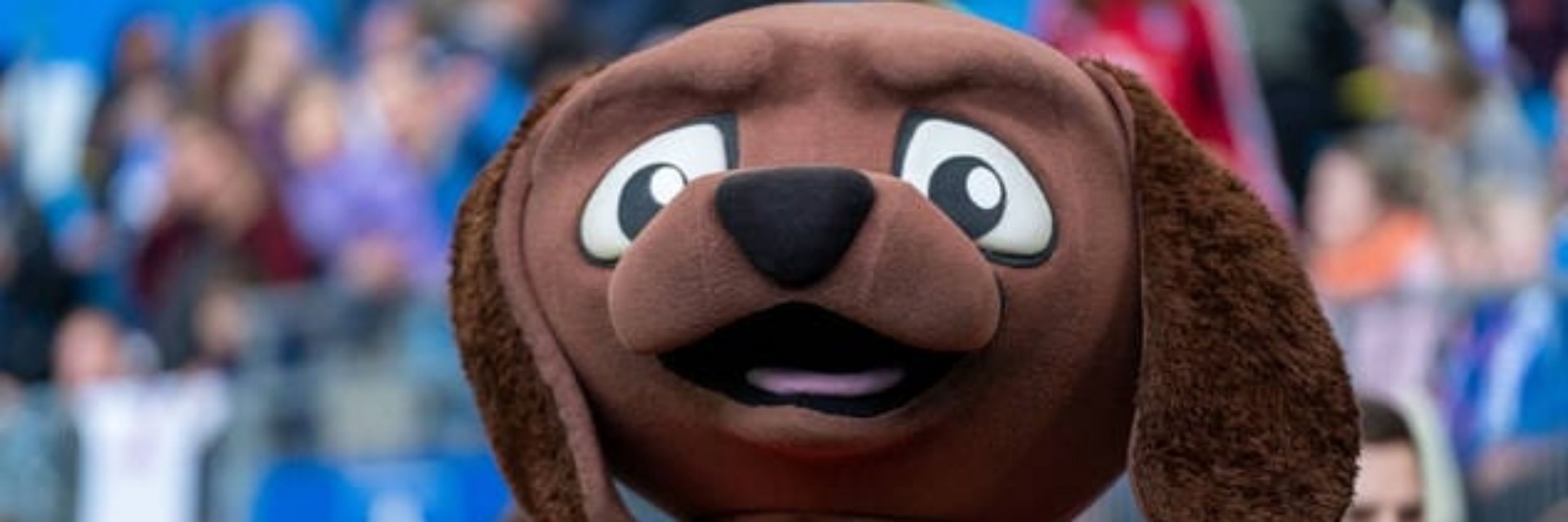 Bödi