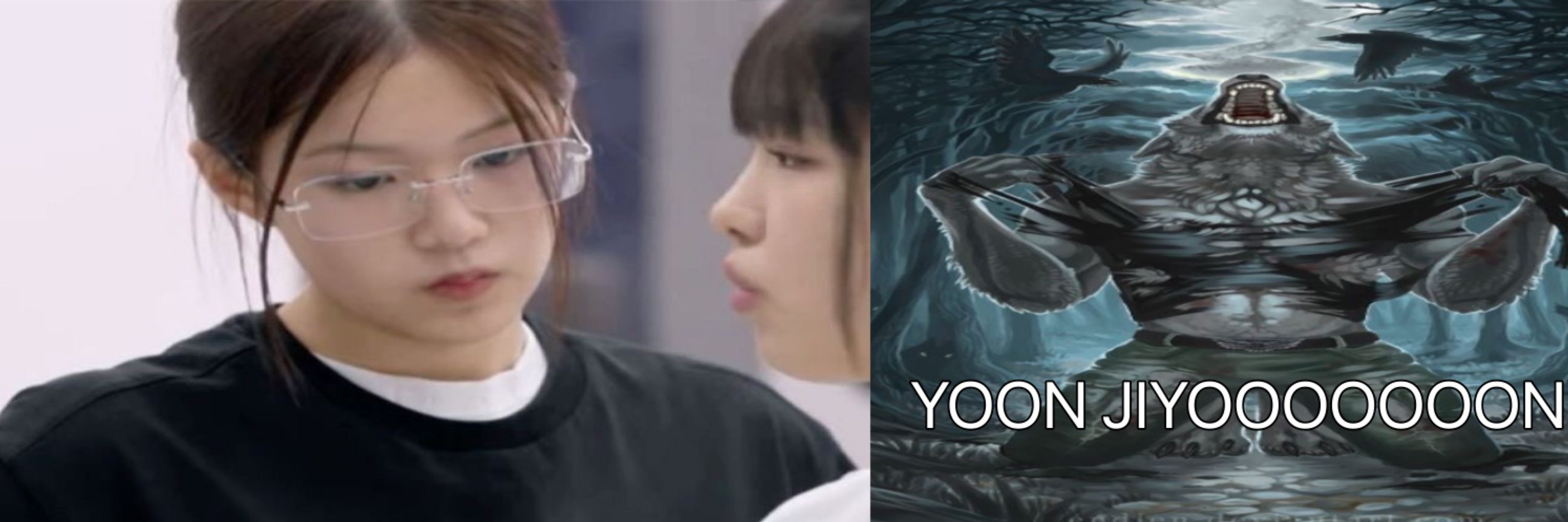 acervo jiyoon cachorra