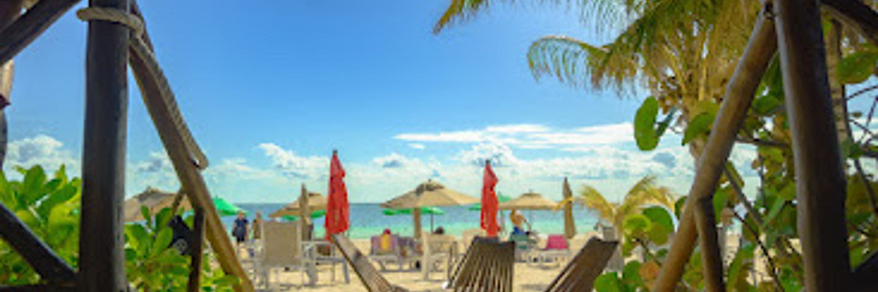 Puerto Discount Card