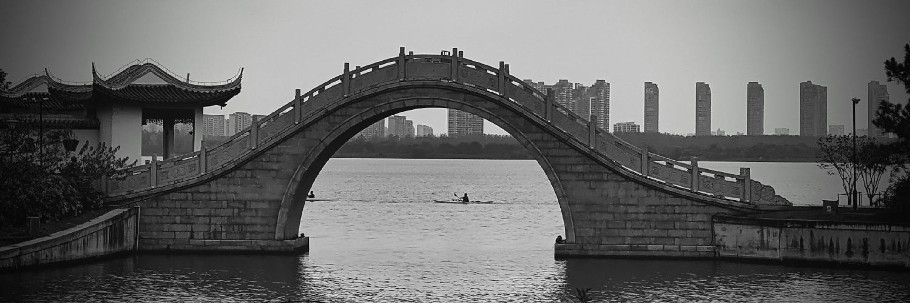 Jared Hall 胡杰
