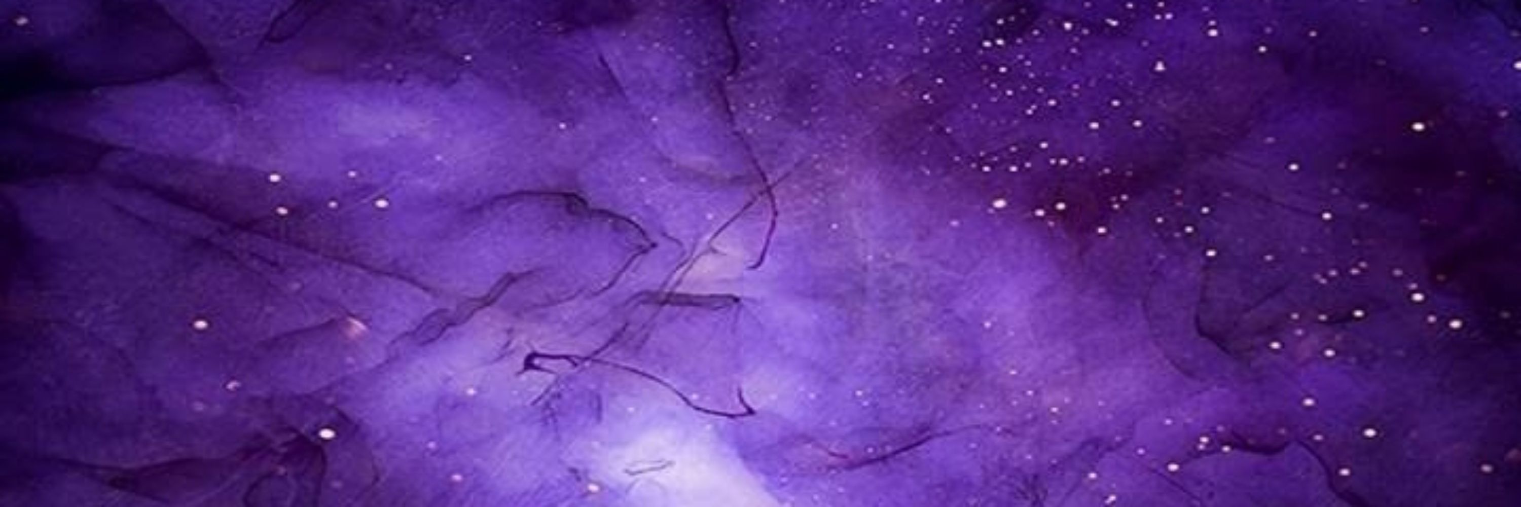 ☄️『Raven』✨