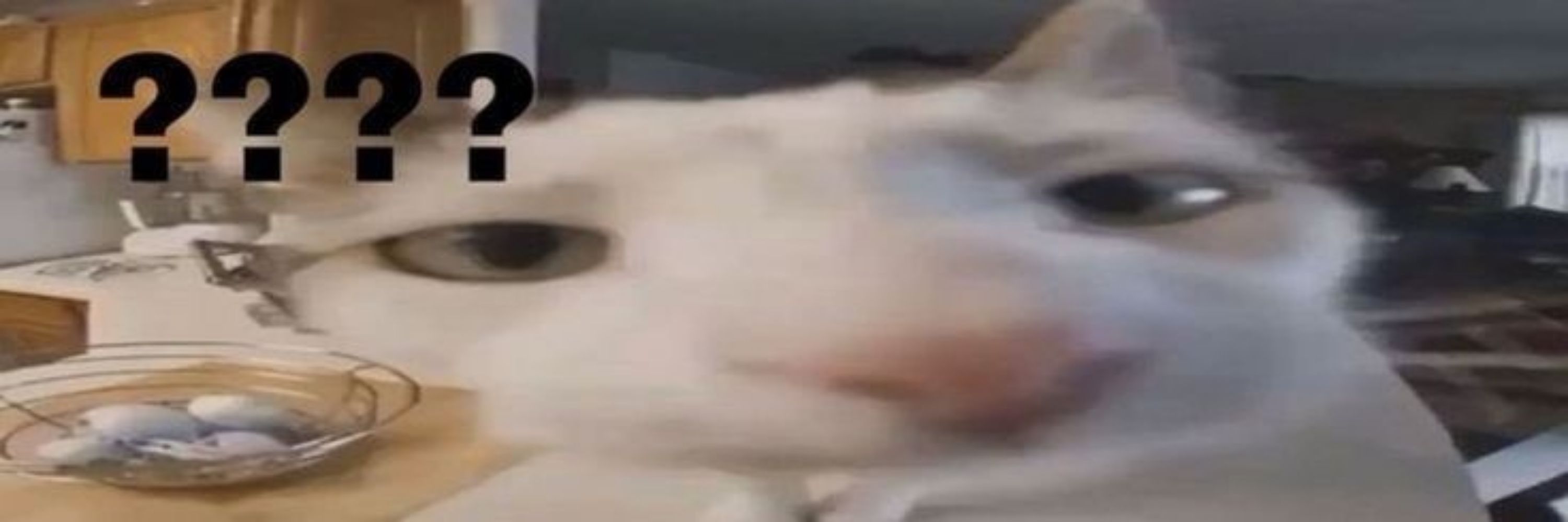 victor