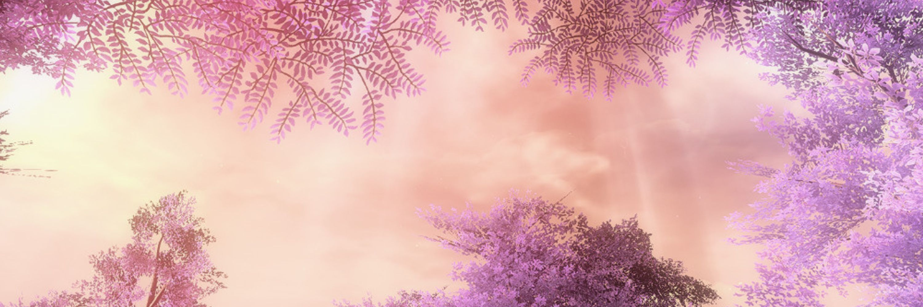 Xyla | stellarnightmage