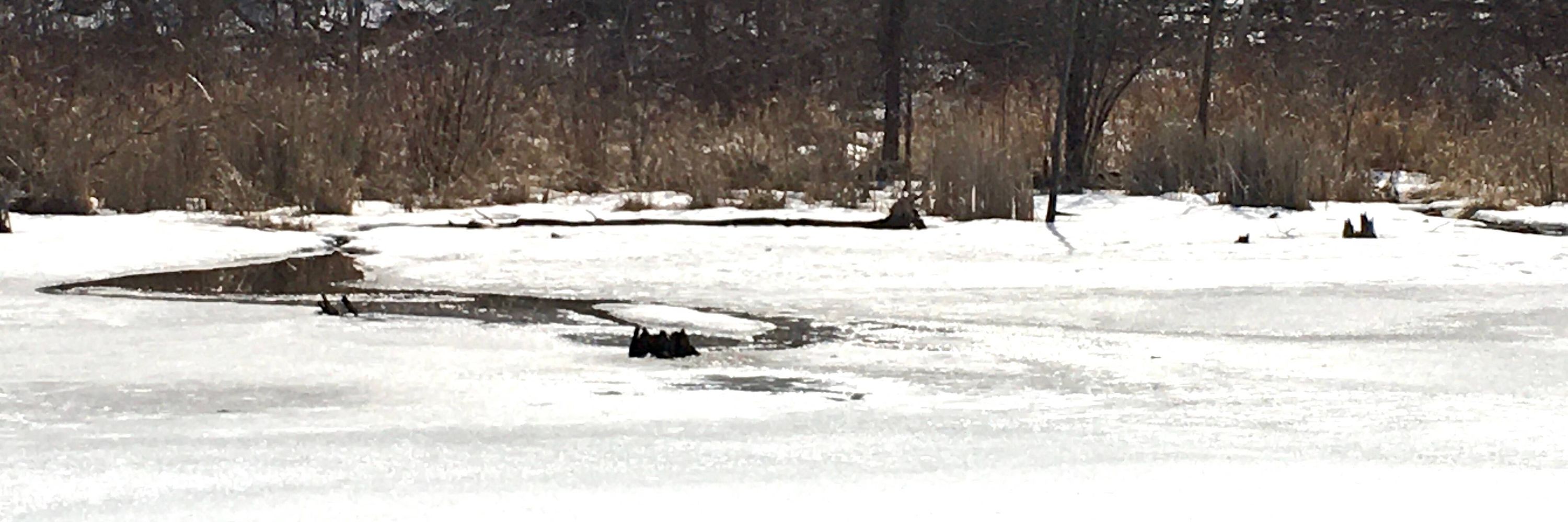Humber River