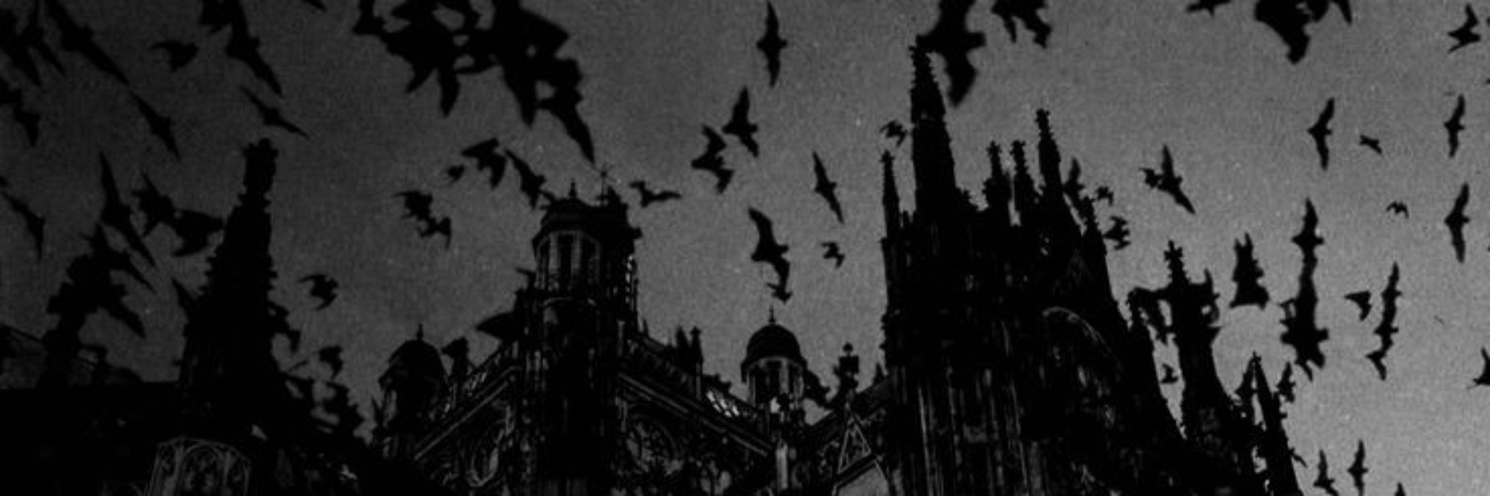 𝑆𝑒𝑒𝑠𝑡𝑜𝑟