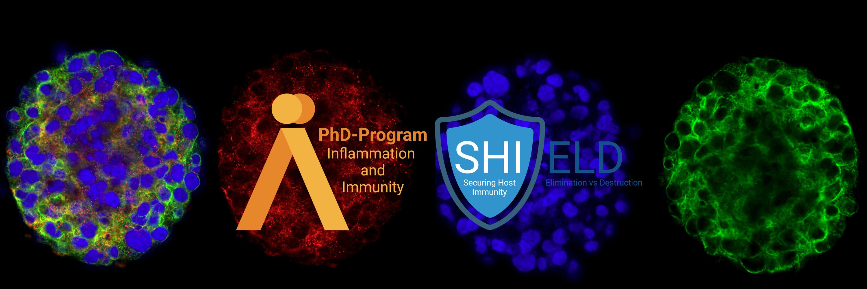 SHIELD - Securing Host Immunity: Eliminaton versus Destruction