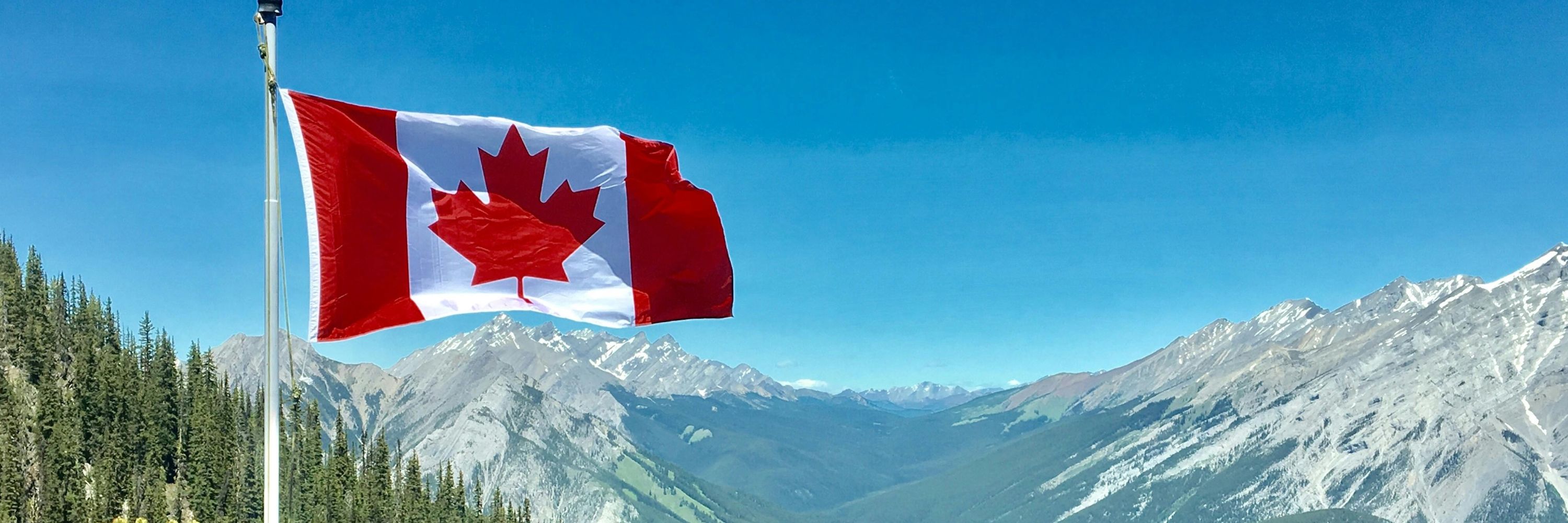 📎 E m  E l l i s 🇨🇦 📚 🍱 📷 ☕️