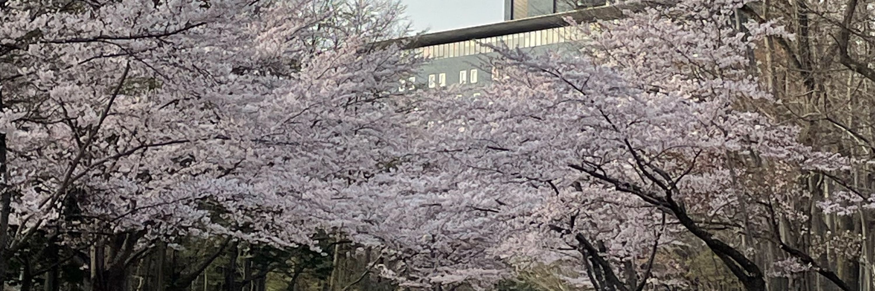 うに