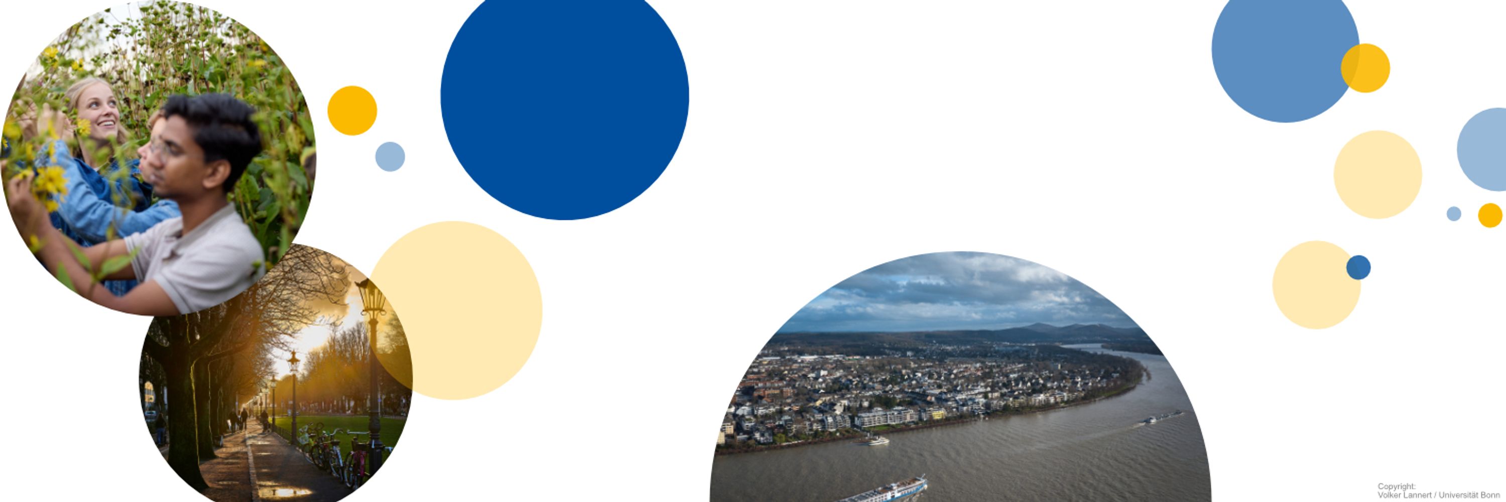 Bonn Research Alliance (BORA)