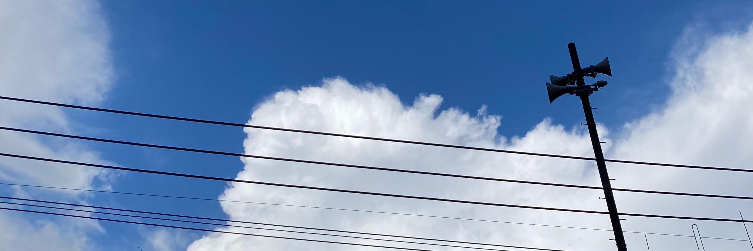 おすしお