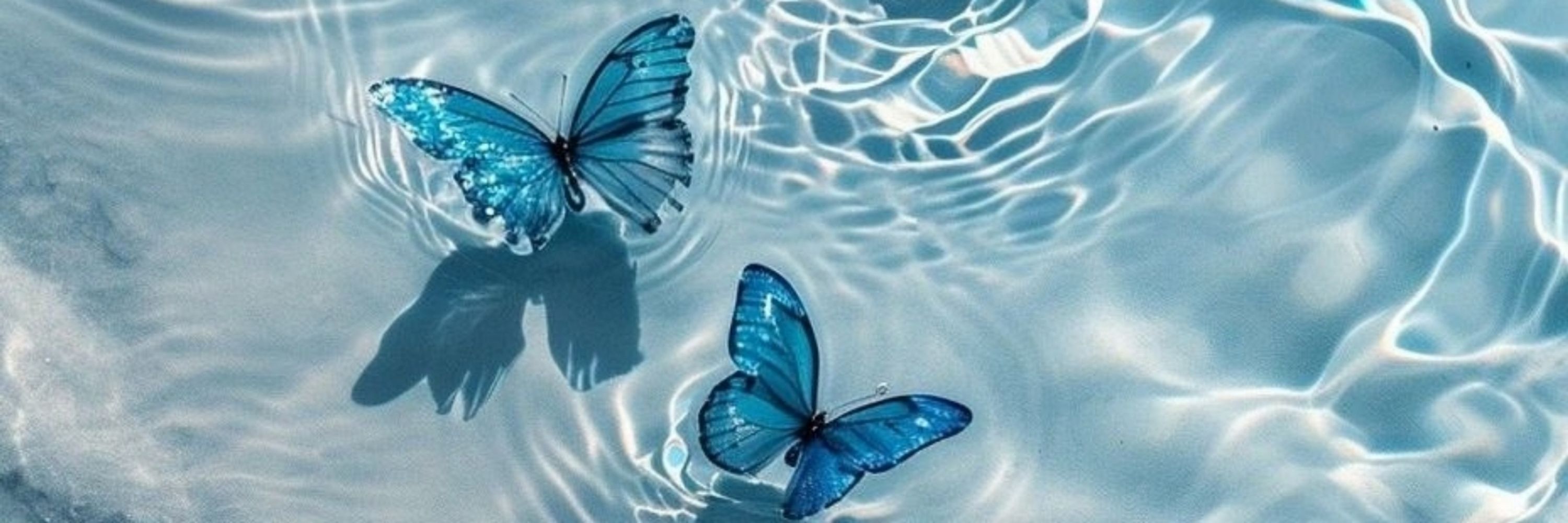 つららさん🦋‪🍸