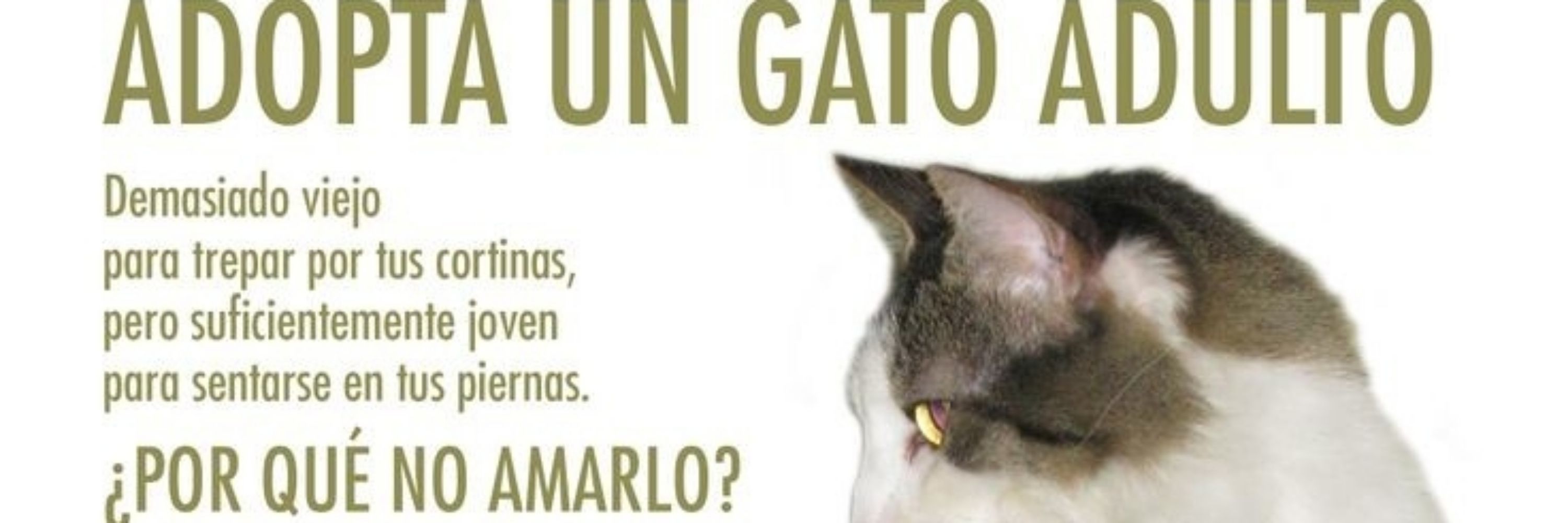 Señora María