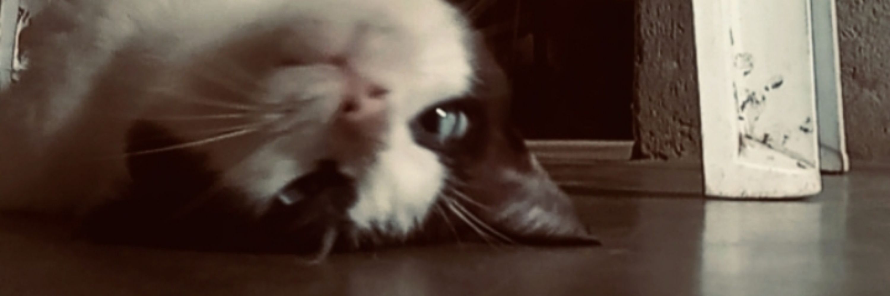 ®️