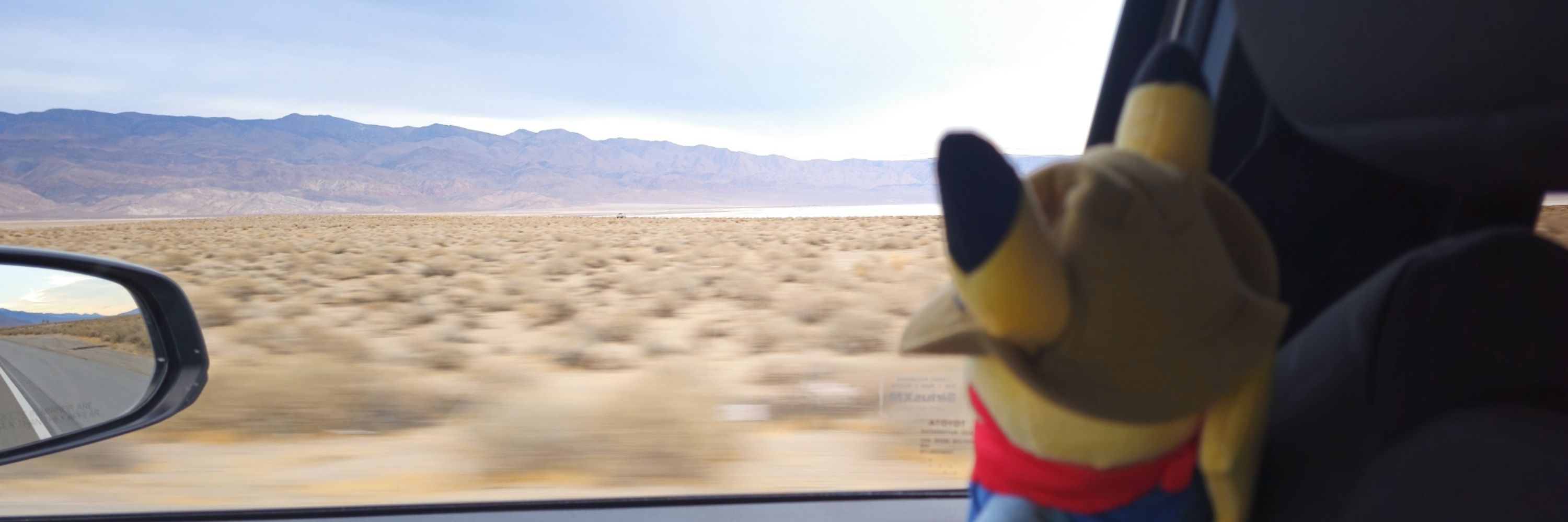 Excavator Pikachu Haver