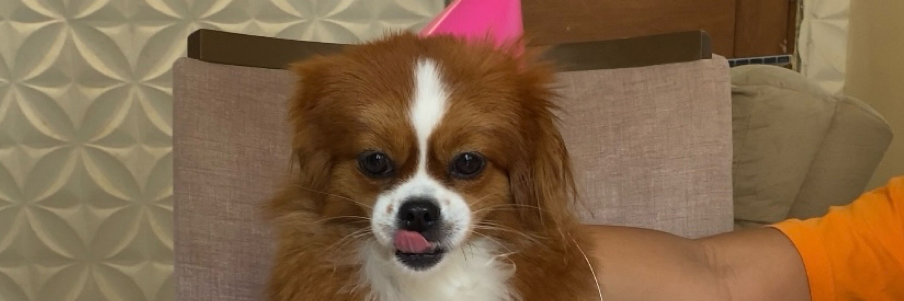 mônica 🎀