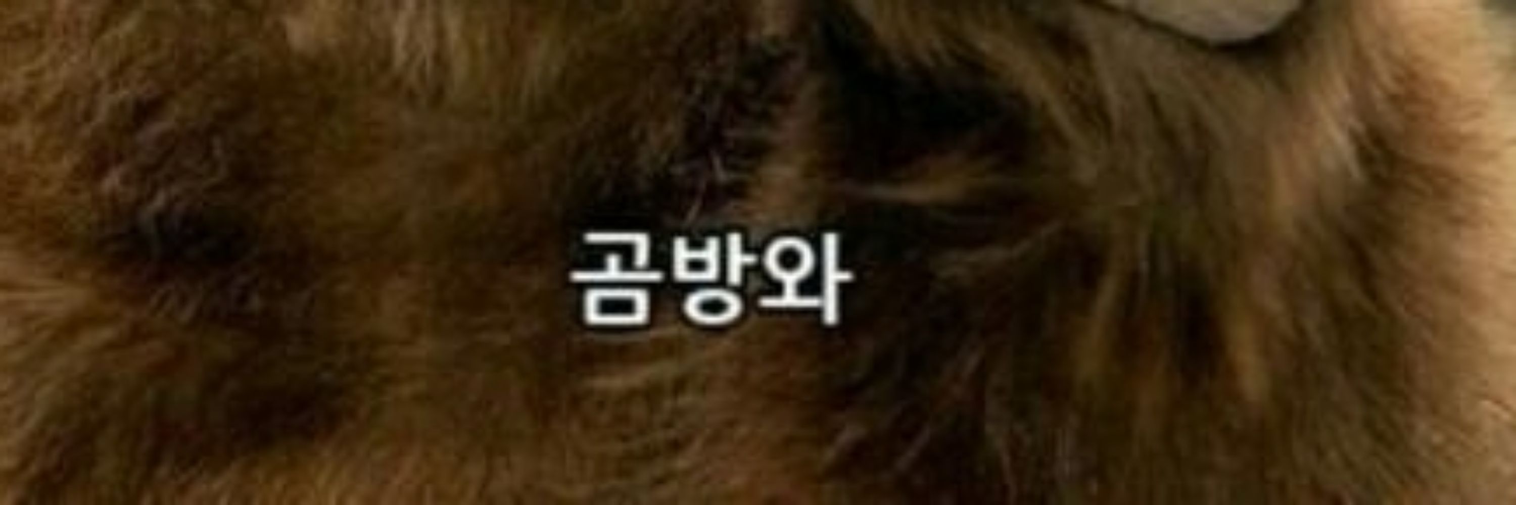 네무날