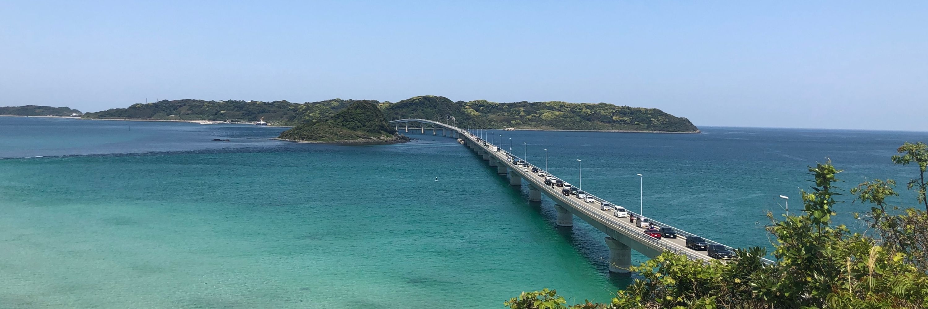 てりたま
