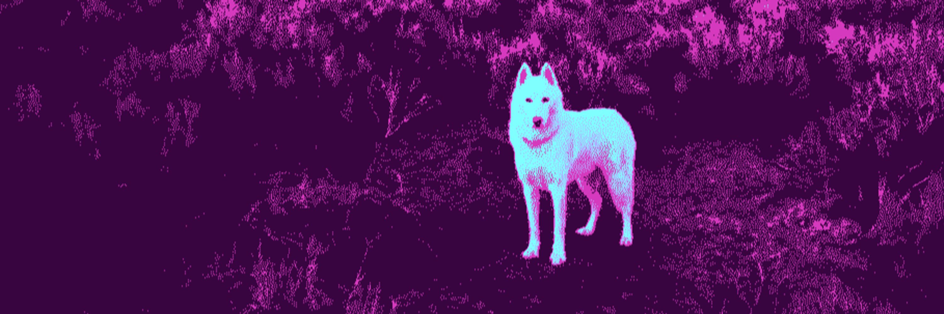 🐕