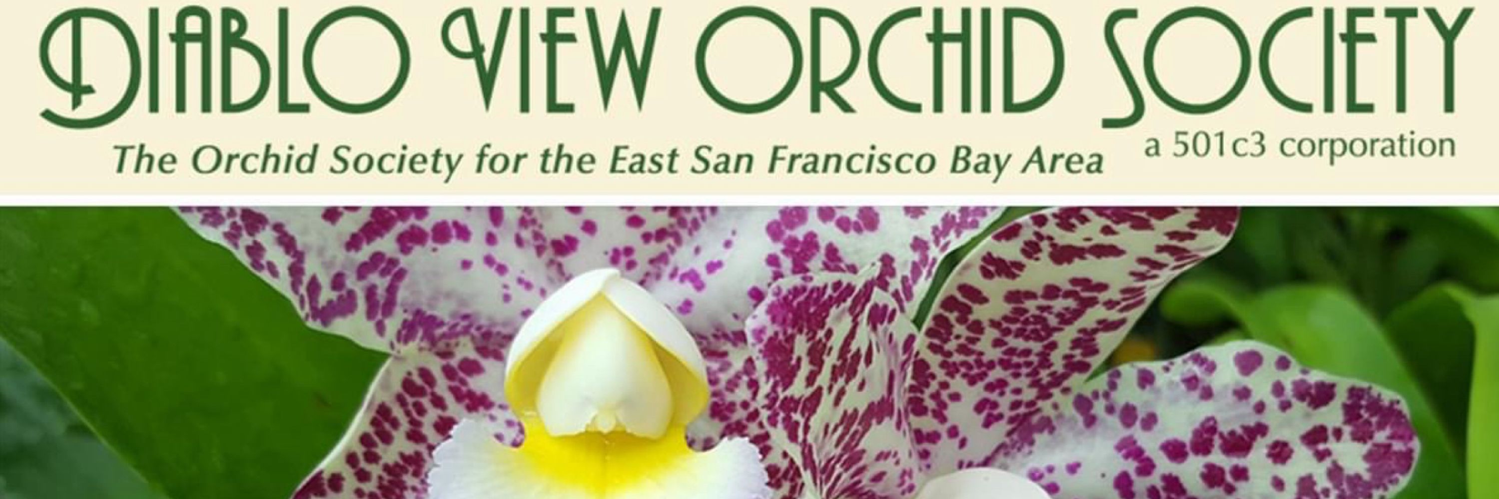 Diablo View Orchid Society