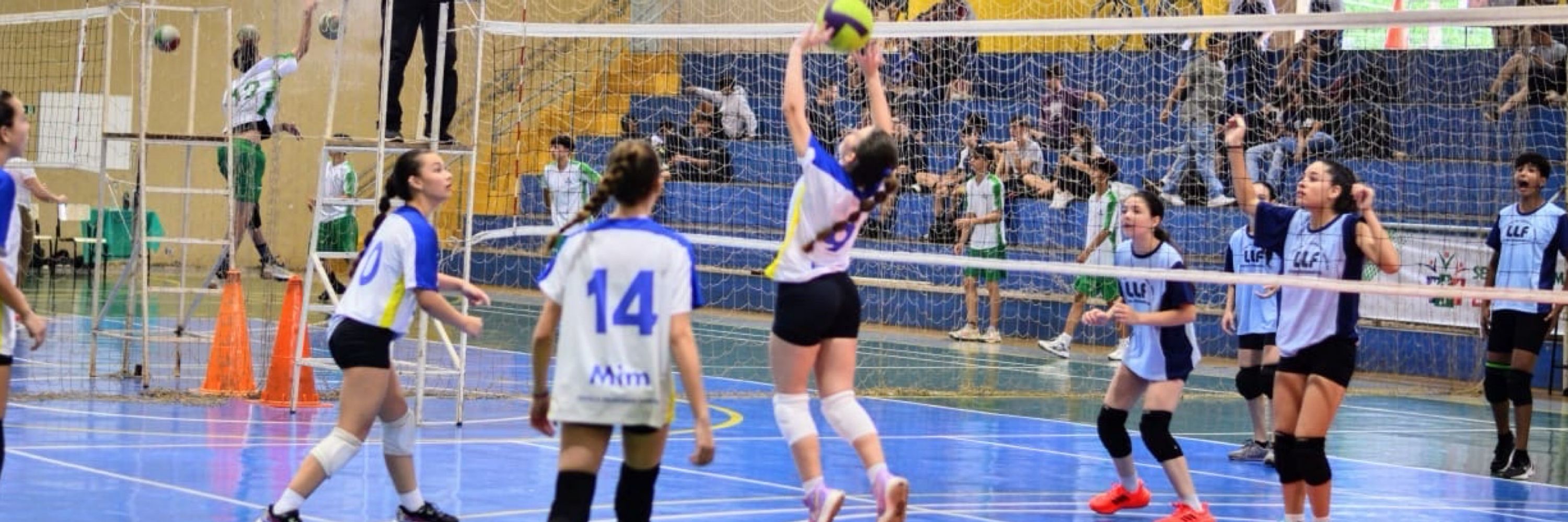 laurinha