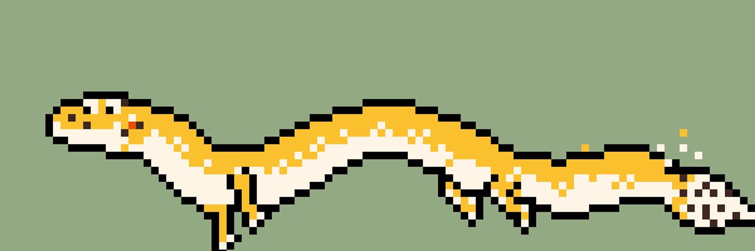 Aketoki