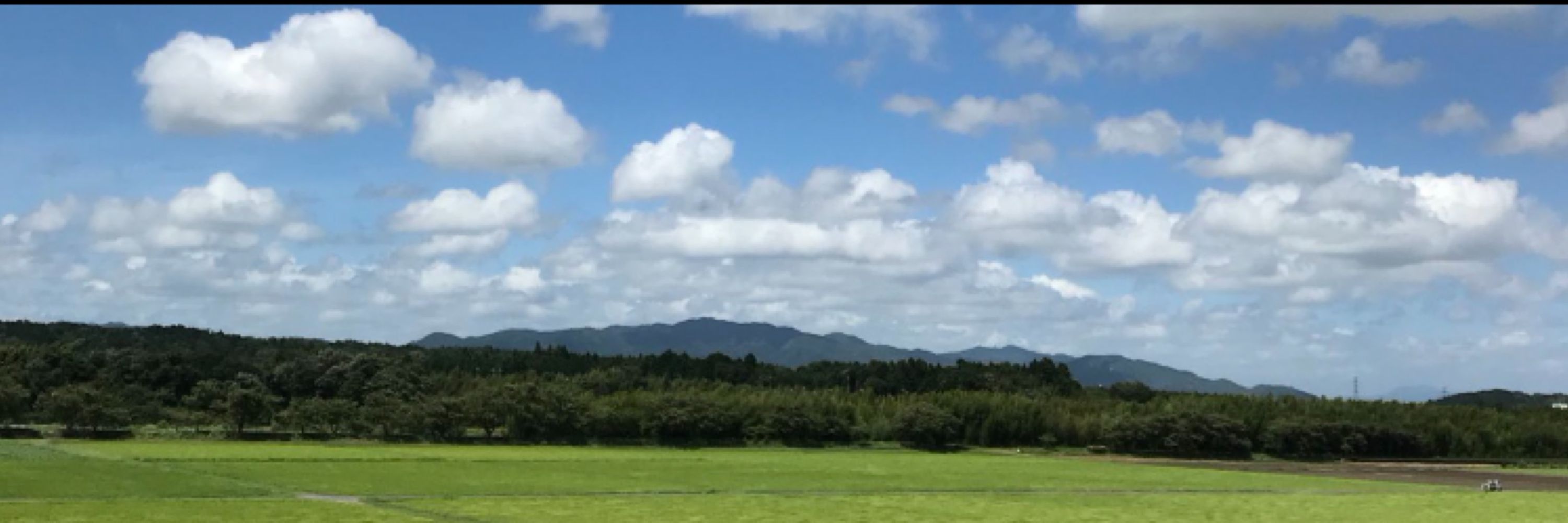 なす