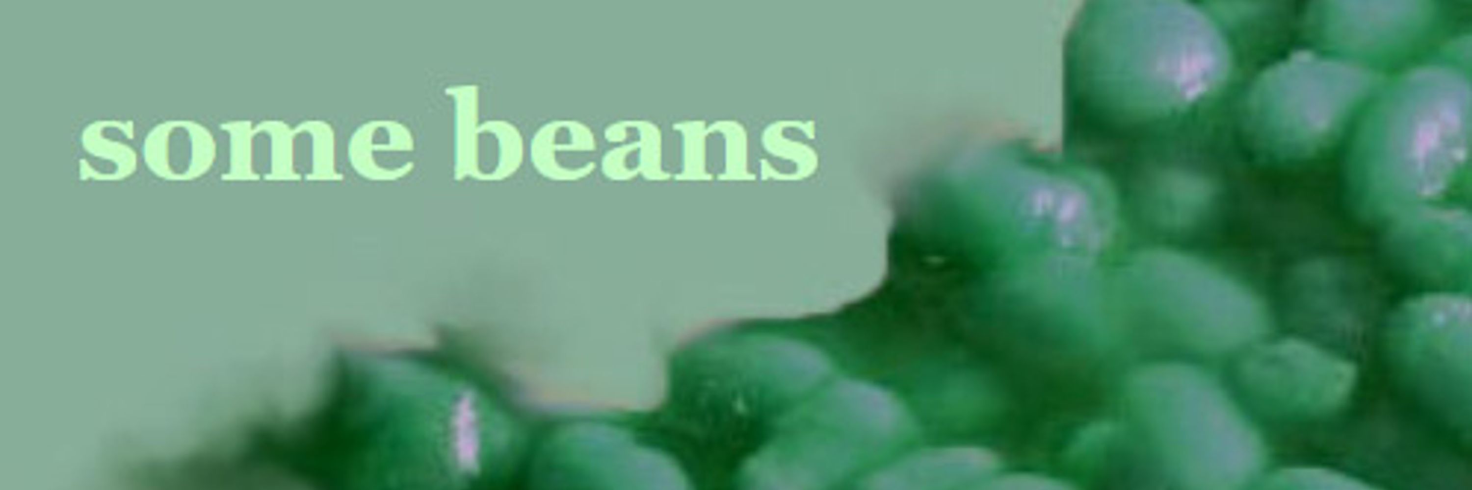 some beans music blog