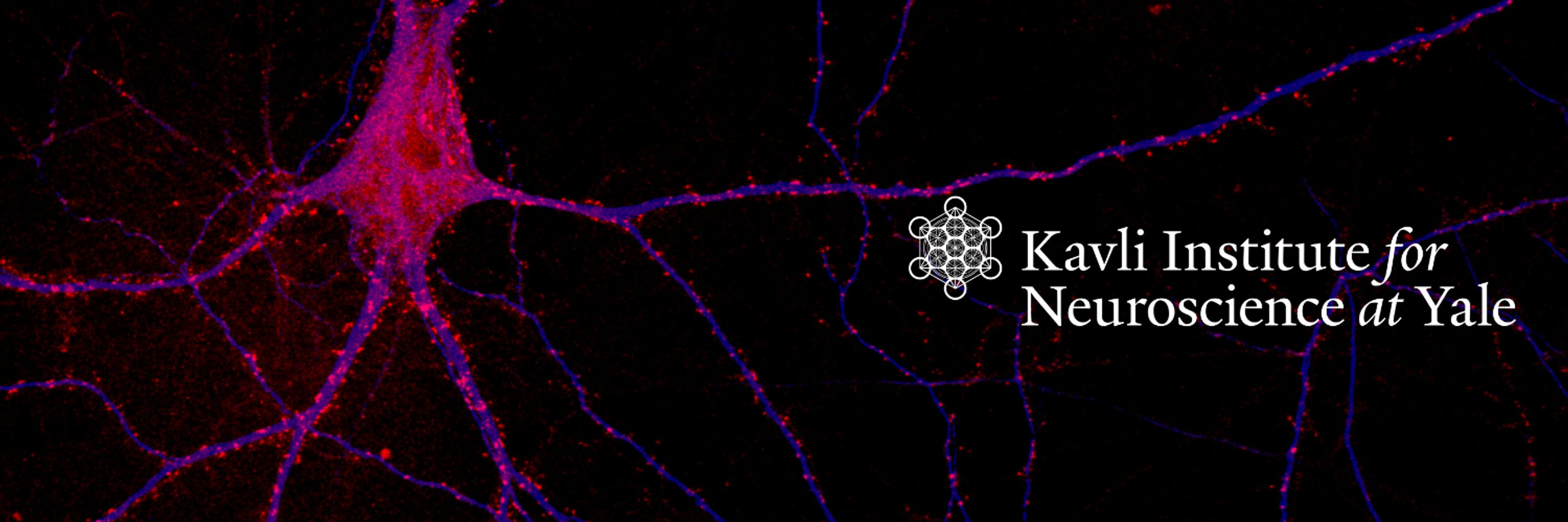 Yale Kavli Institute for Neuroscience