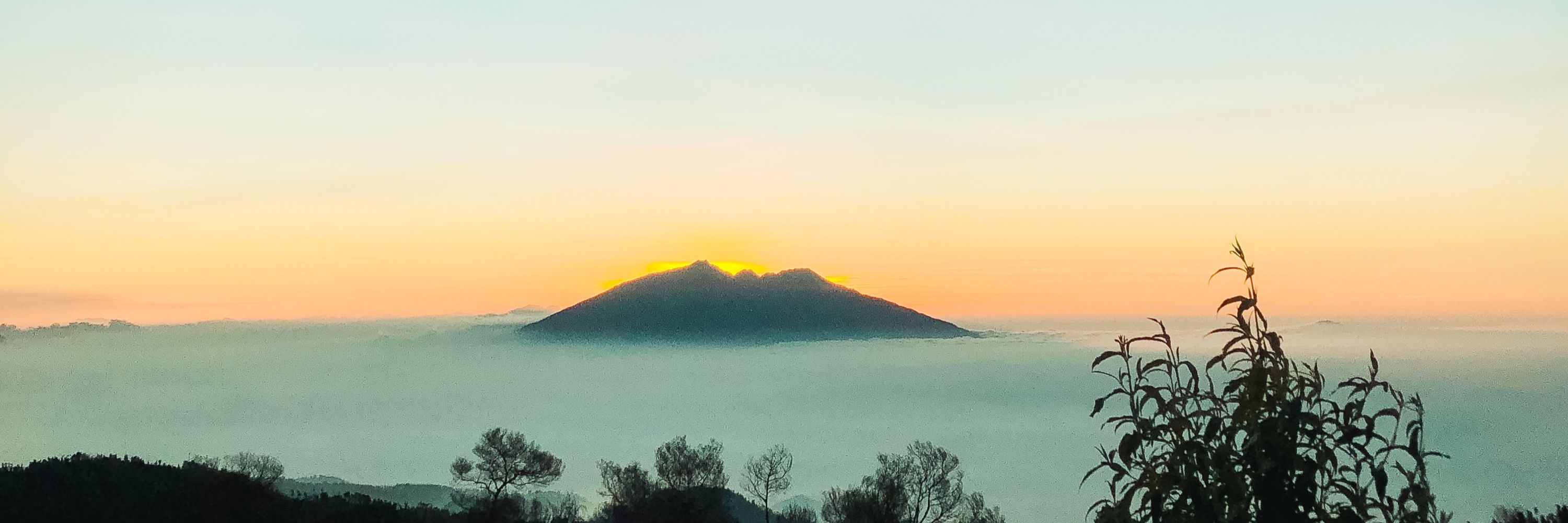Earlysun