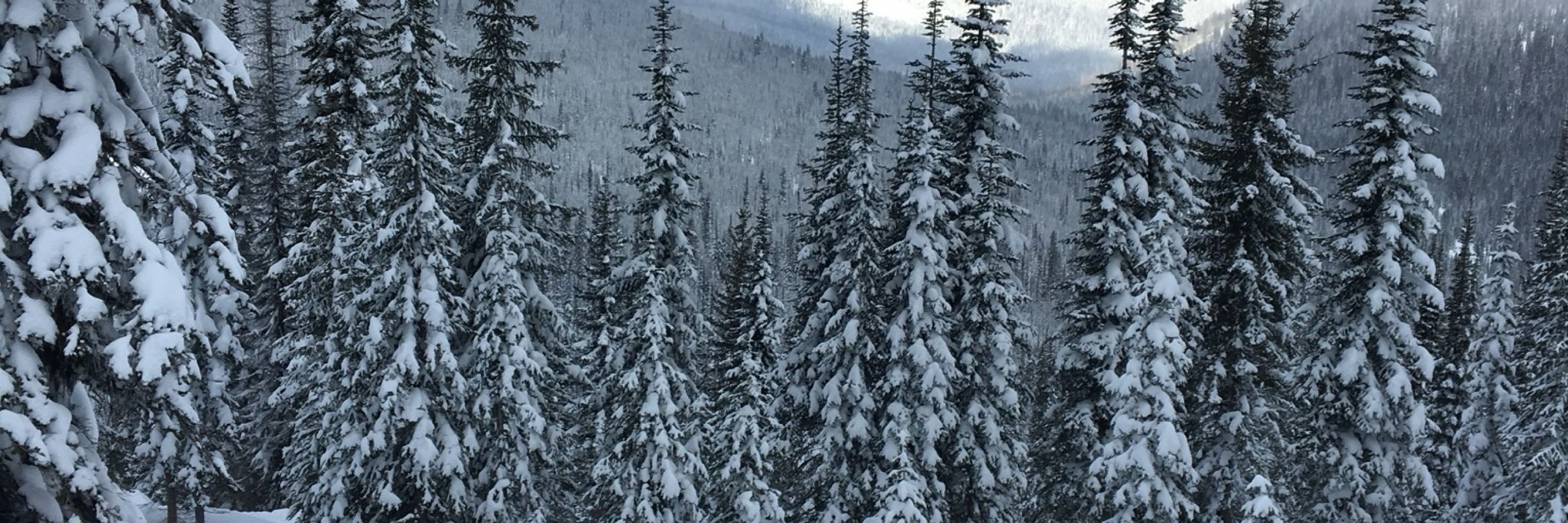 Snow Ski MT🎿🚡⛷️