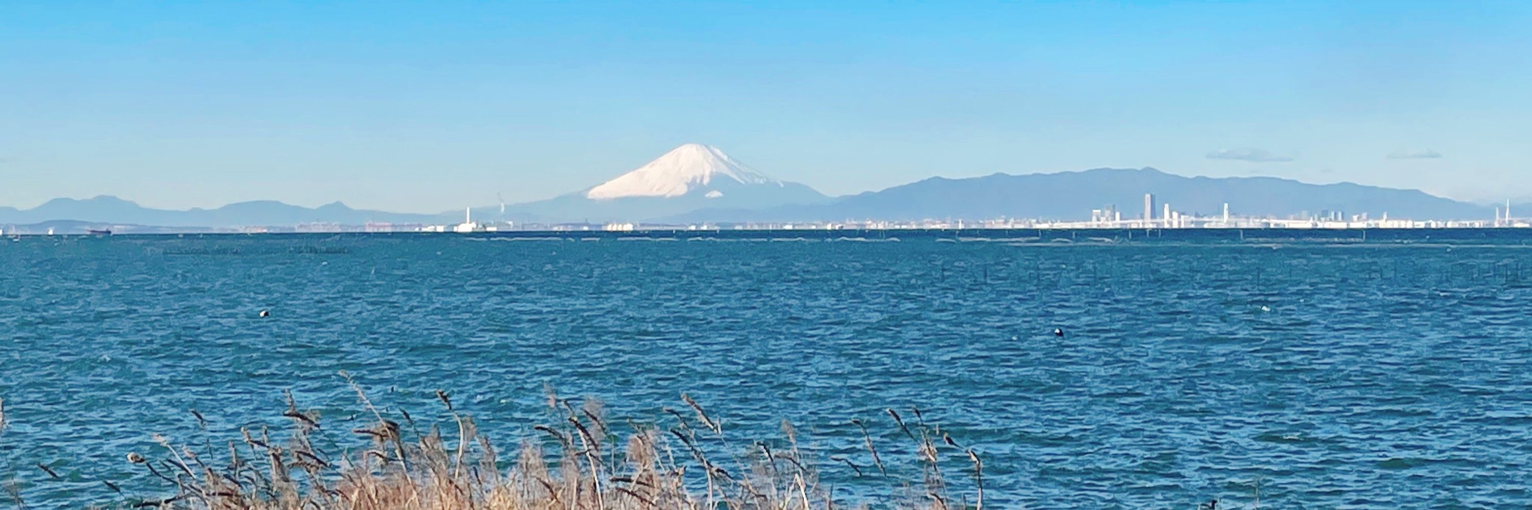たっくん